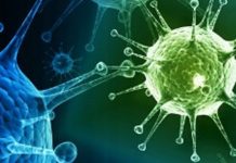 پاکستان میں کرونا وائرس سے اب تک کتنی اموات ہوئیں؟