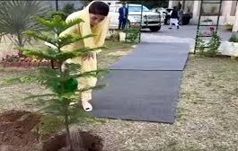 pakalerts.pk