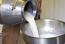 دودھ 400 روپے فی لیٹر سے کم دستیاب نہیں ہوگا، ڈیری فارمرز کا انتباہ pakalerts.pk