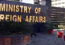 امریکہ میں اسلحہ رکھنے پر گرفتار ٹرک ڈرائیور پاکستانی نہیں افغان شہری ہے، دفتر خارجہ کی وضاحت pakalerts.pk