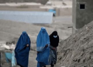 اقوام متحدہ نے افغانستان میں خواتین کے کام پر پابندی ختم کرنے کا مطالبہ کر دیا pakalerts.pk